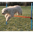 Agility Hrde 123cm x 115cm Stangendurchmesser 3 cm....