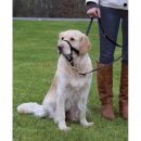 Hunde Top Trainer Ausbildungs-Geschirr, in div. Gren,...